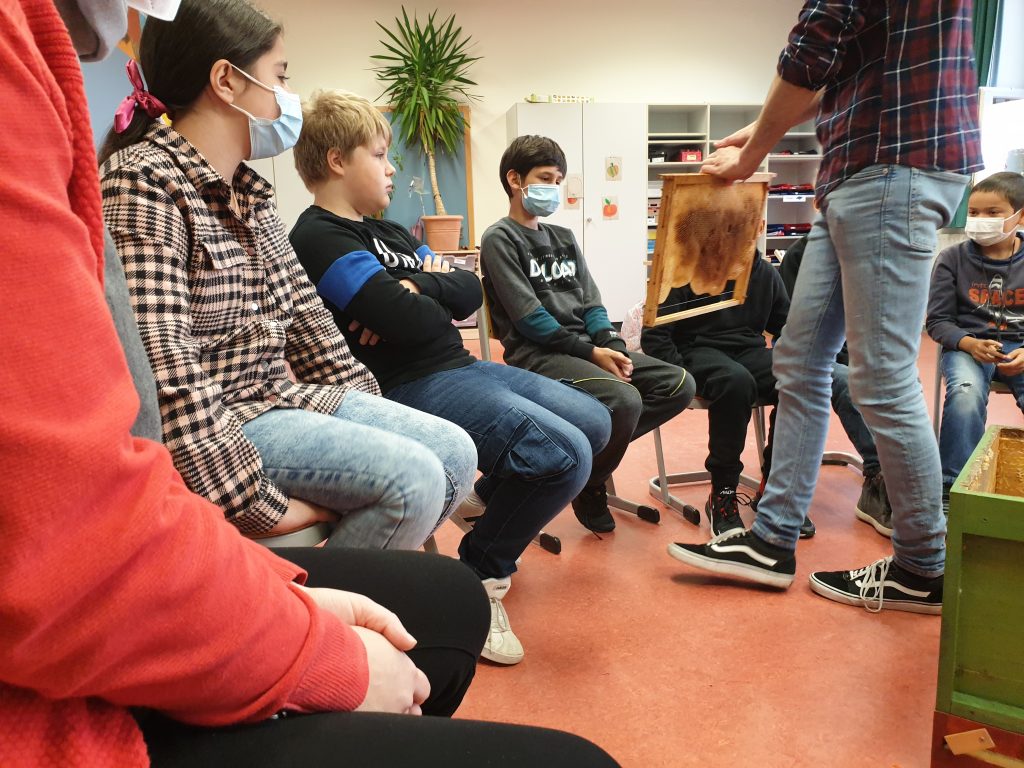 Bienen mit Schülerinnen und Schülern