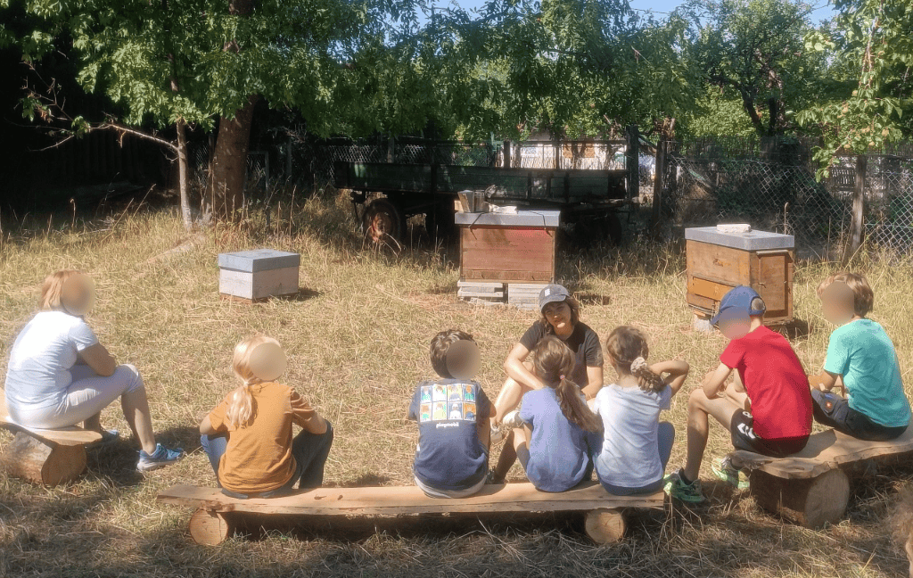 Bienen auf der Jugendfarm
