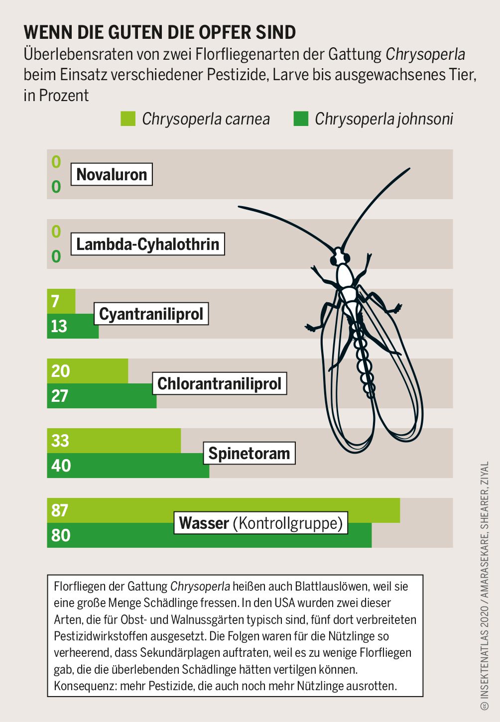Infografik Wenn die Guten die Opfer sind