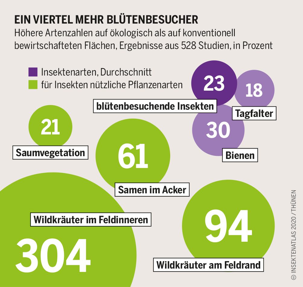 Infografik Ein Viertel mehr Blütenbesucher