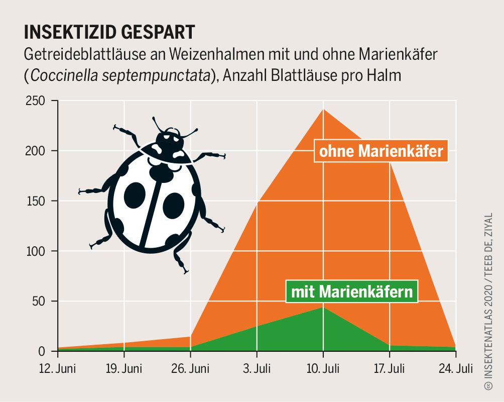 Infografik Insektizid gespart