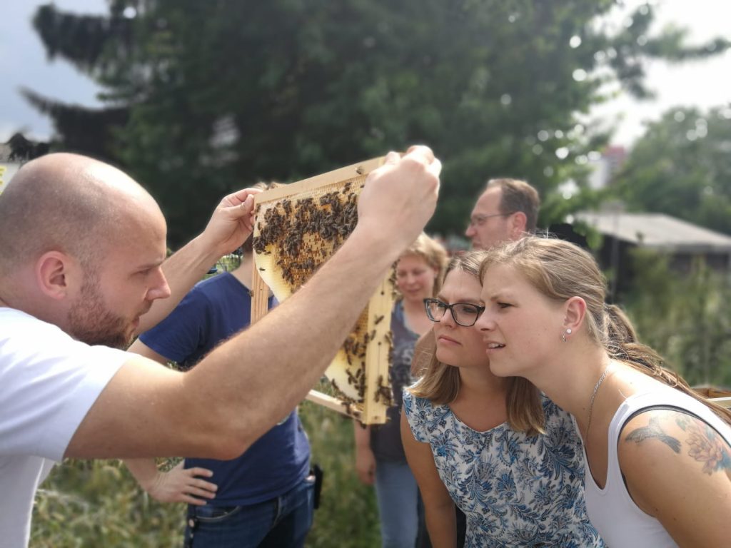 Beratung Bienenhaltung