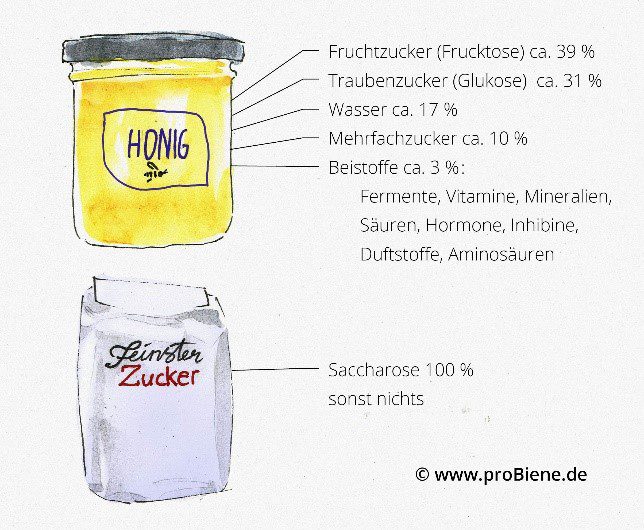 Inhalte Honig