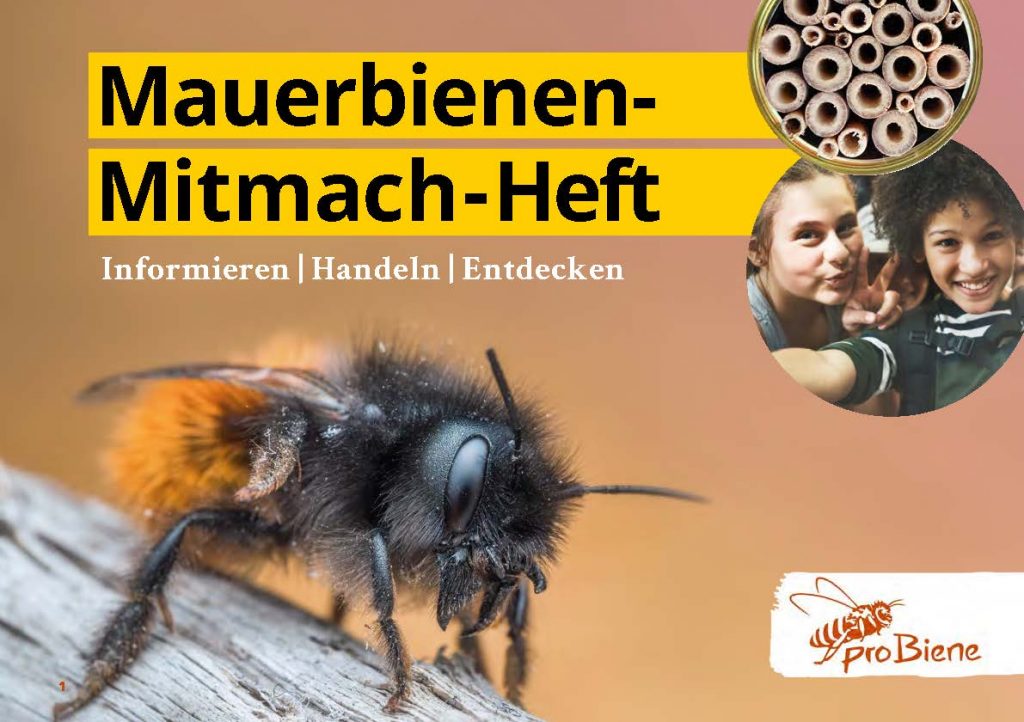 Mauerbienen-Mitmach-Heft