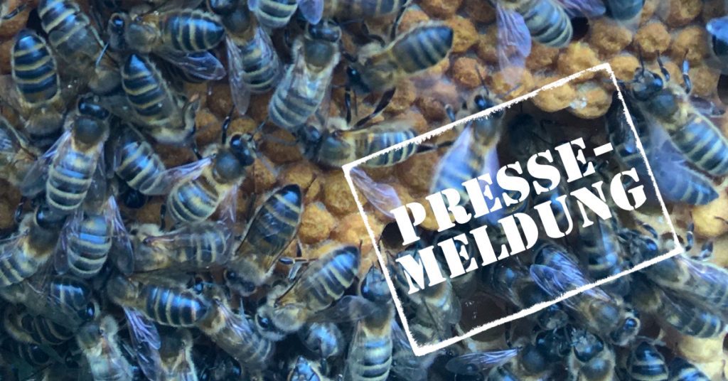 Pressemeldung Dunkle Biene