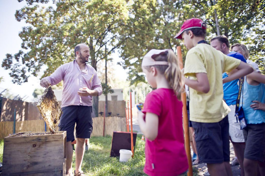 Imkerei in Stutengarten