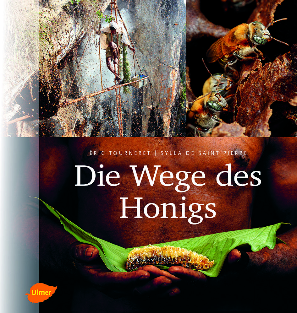 Buch: Die Wege des Honigs