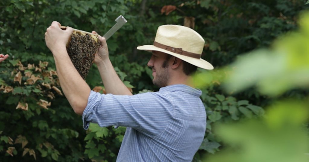Tobias Miltenberger mit Bienen