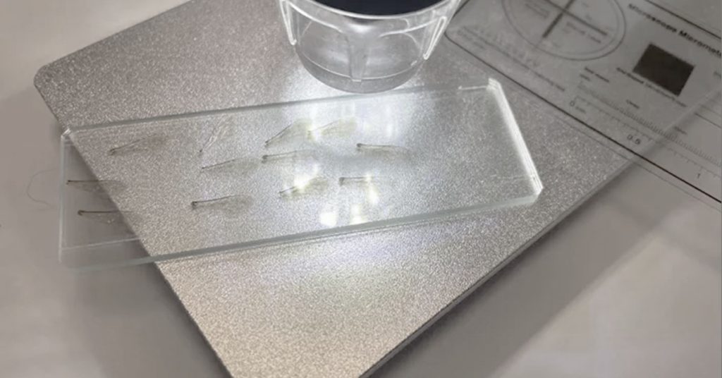 Cubitalindex-Messung