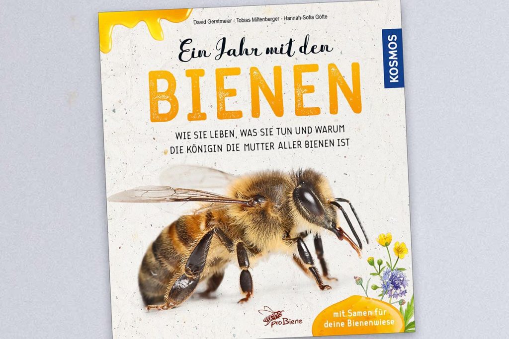 Kindersachbuch: "Ein Jahr mit den Bienen"