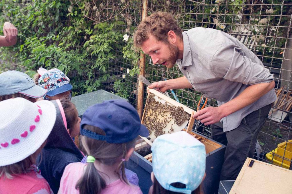 Bienenpädagogik