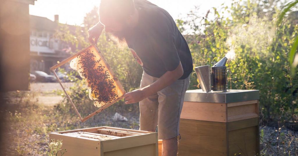 Ökologisch Imkern