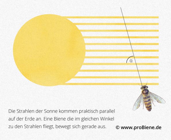 Grafik wesensgemäße Imkerei