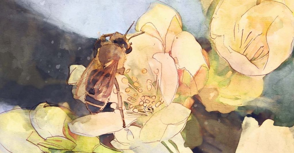 Wissen und Verantwortung